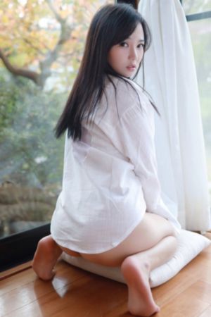 楚乔传演员表